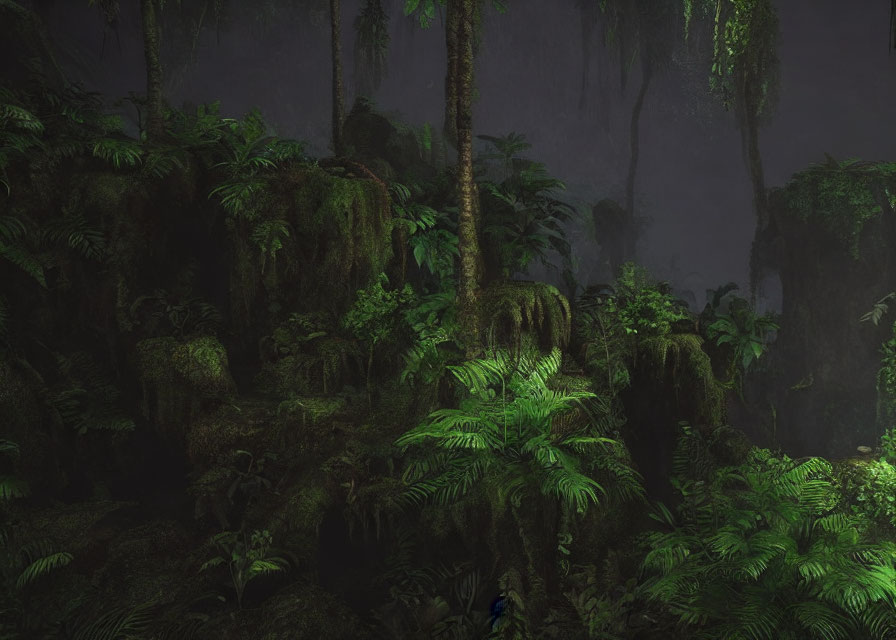 Lush Green Jungle with Ferns and Towering Trees in Mist