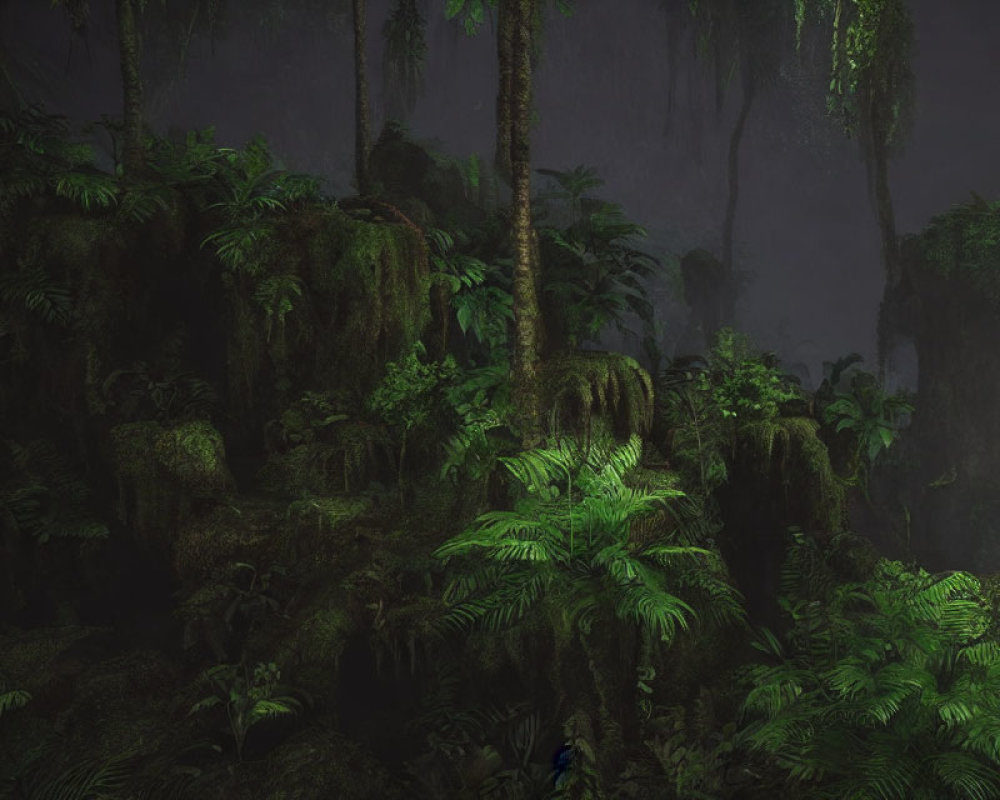 Lush Green Jungle with Ferns and Towering Trees in Mist