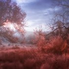 Misty autumn landscape with red and orange foliage and lone figure walking