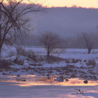 Colorful illuminated cottages by reflective water in misty woodland scene