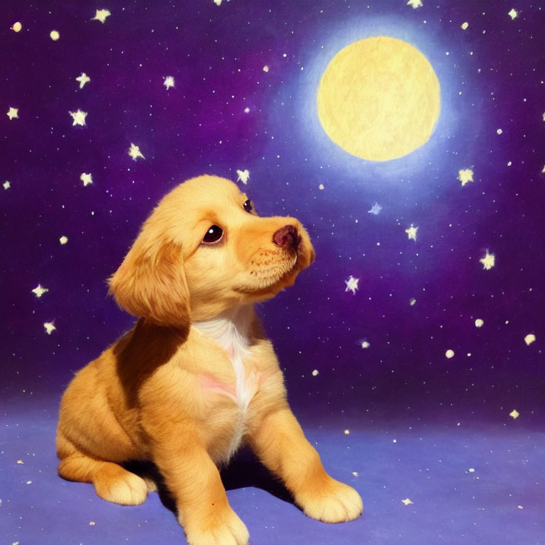 Golden puppy under starry night with large yellow moon