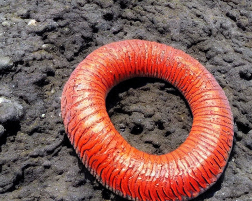 Circular red grooved object on rough gray surface