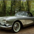 Classic Green Sports Car in Sunlit Forest