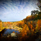 Autumn river landscape with golden trees under overcast sky