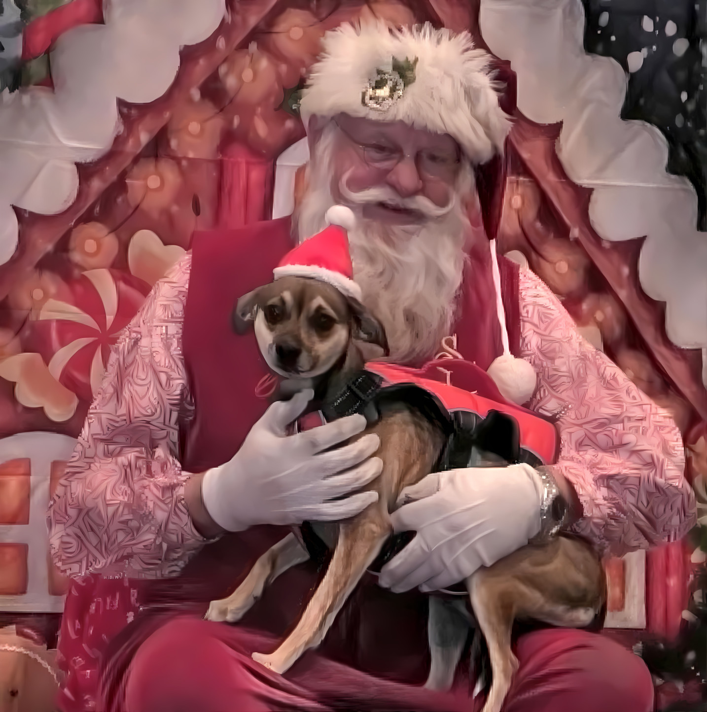 Ziggy Meets Santa Claus