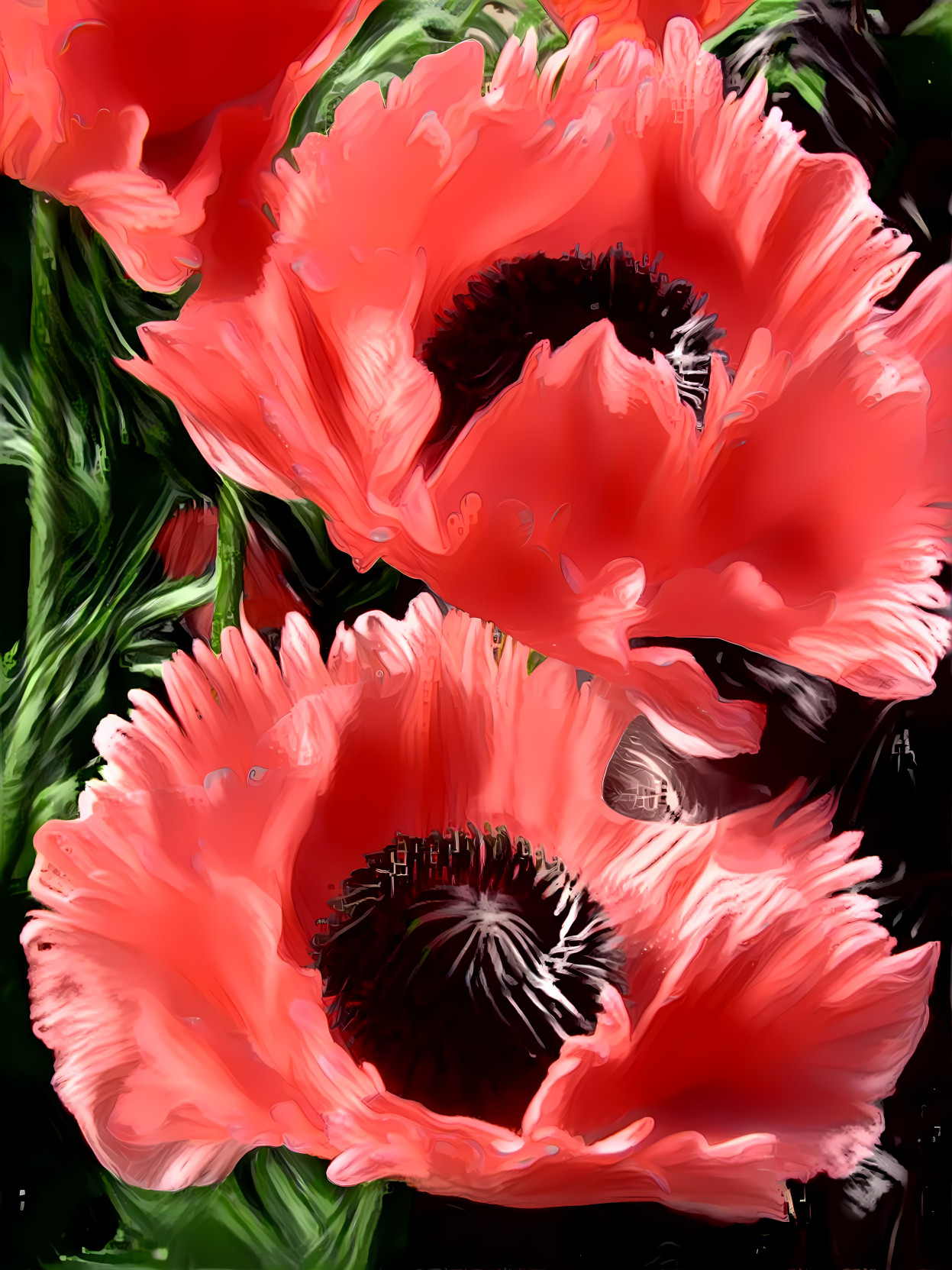 Poppies