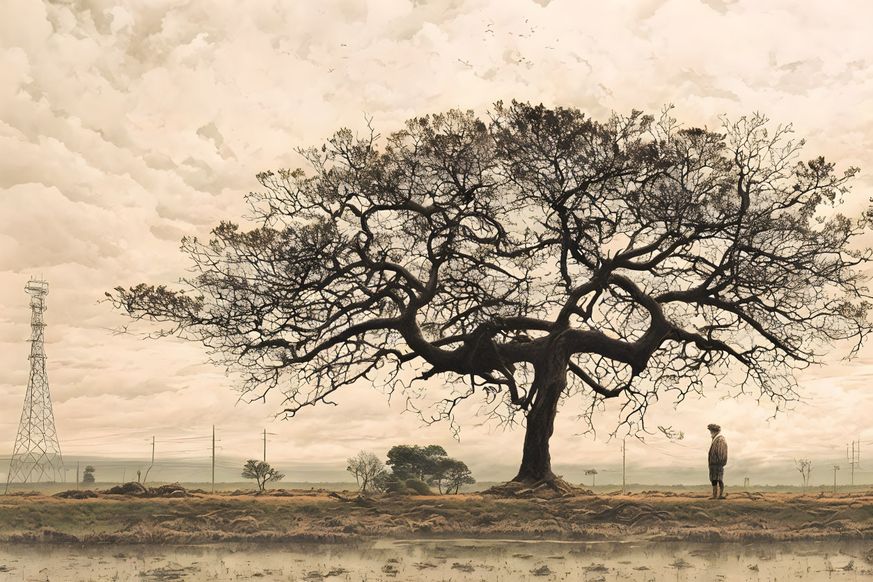 Person standing by large intricate tree under cloudy sky with electricity pylon.