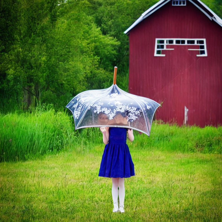 Person in Blue Dress Holding Clear Umbrella in Green Field with Red Barn