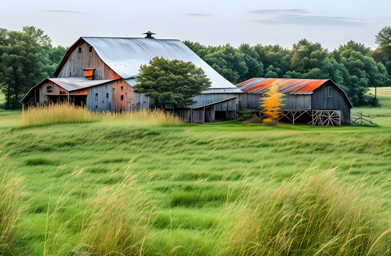 Weathered wood and metal roof barn in rural landscape