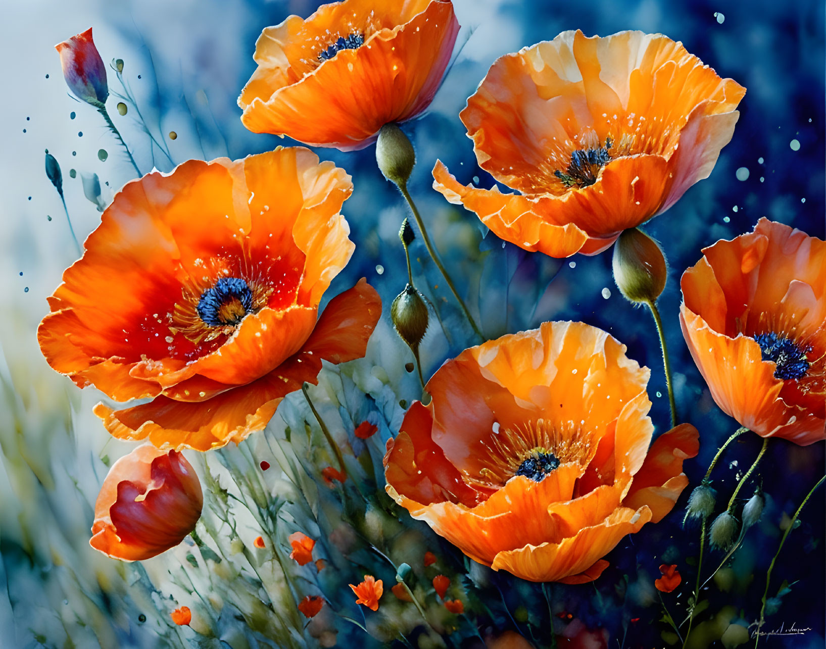 Bright Orange Poppies on Blue Bokeh with Paint Splatters and Buds