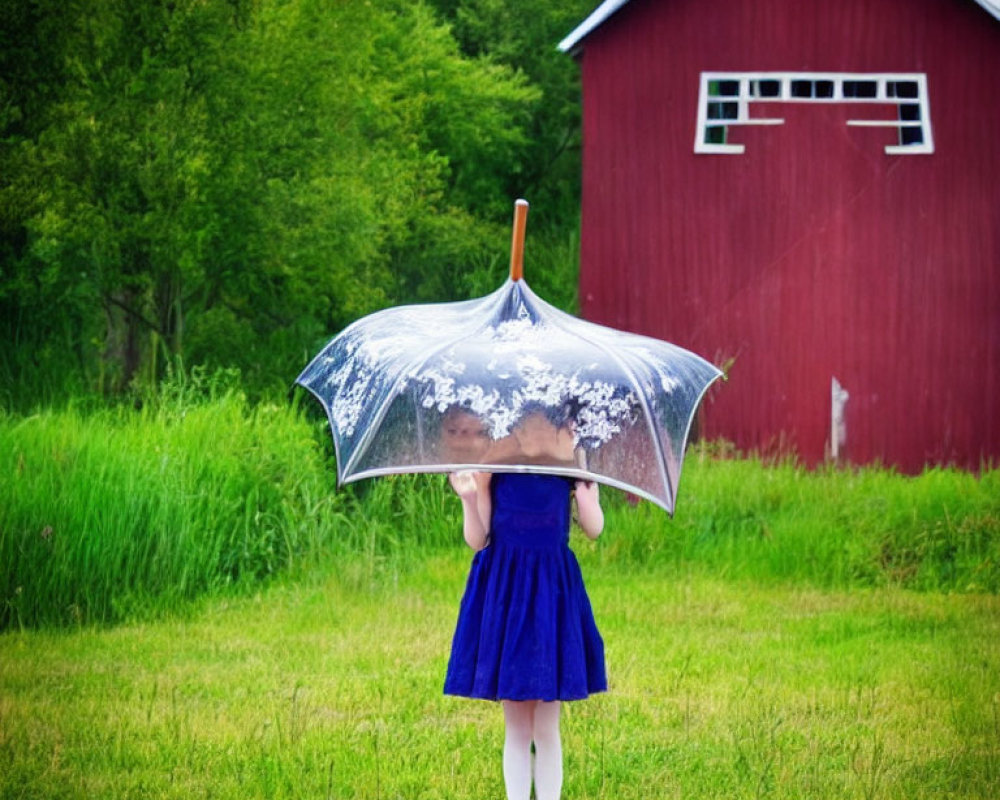 Person in Blue Dress Holding Clear Umbrella in Green Field with Red Barn