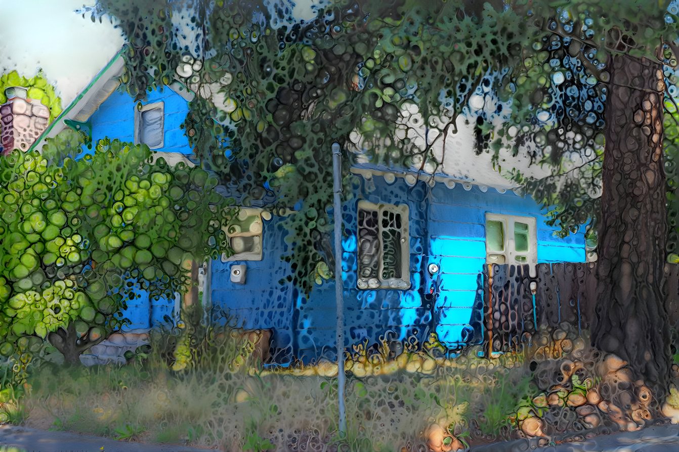 The Blue House