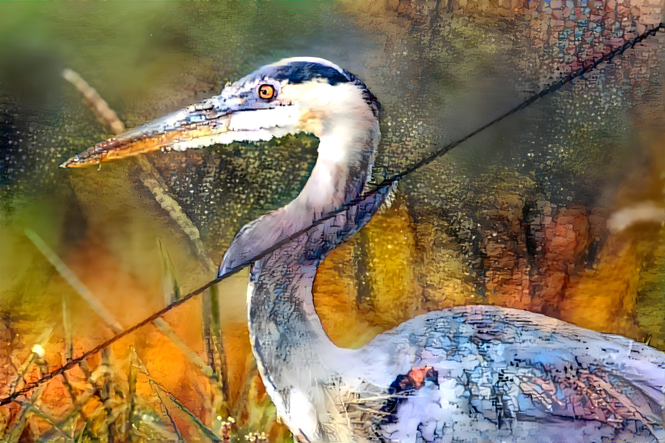 Ridgefield Heron