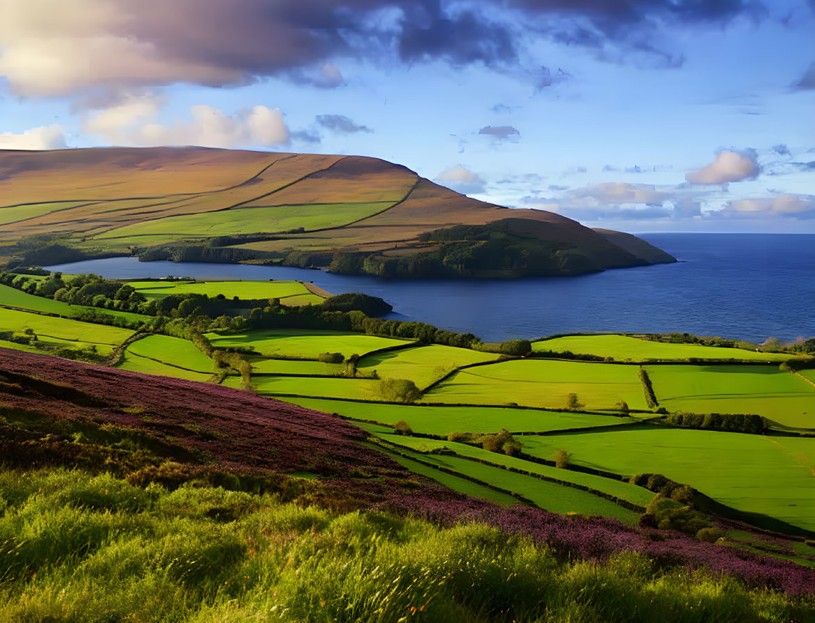 Scenic landscape: green hills, patchwork farmland, purple fields, blue sea, sunset skies