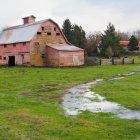 Weathered pink wooden barn with corrugated roof in lush meadow.