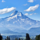 Snow-capped mountain under clear blue sky with green pine trees.