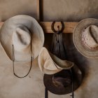 Cowboy hats on wooden pegs against rustic stone wall, varied shades and feather adornments.