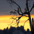 Surreal dusk landscape with bare tree, hanging spheres, and snowy mountains