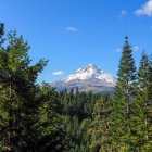 Snow-capped mountain peak overlooking forest and blue sky