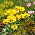 Colorful Watercolor Painting of Lush Garden with Flowers