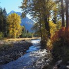 Tranquil autumn creek scene with colorful trees and mountain view