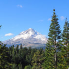 Snow-capped mountain in lush forest under clear blue sky