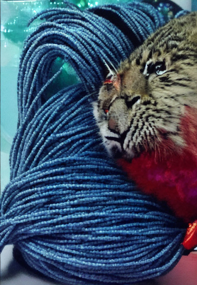 Leopard Head Plush Toy on Blue Coiled Yarn