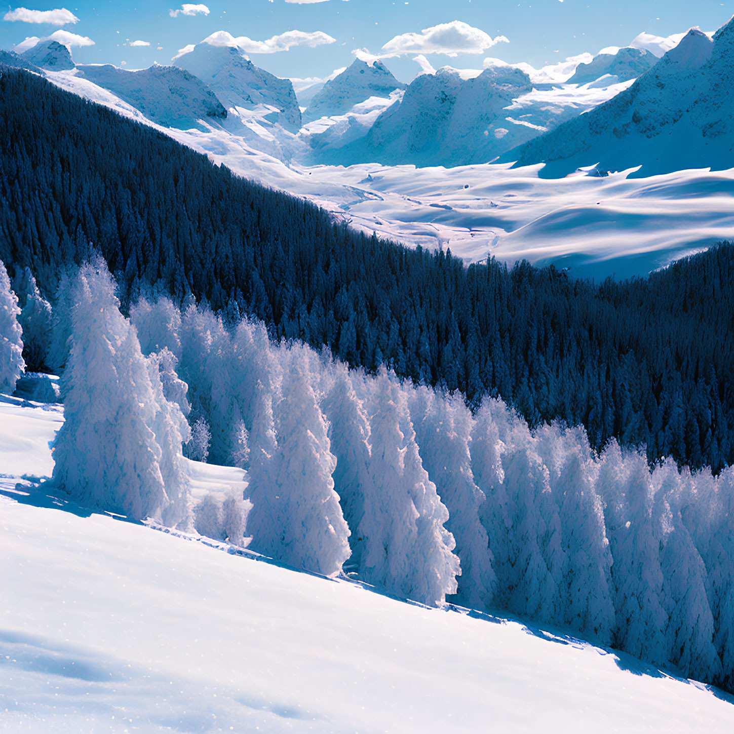 Majestic snow-covered alpine landscape with frosted trees and snow-capped mountains