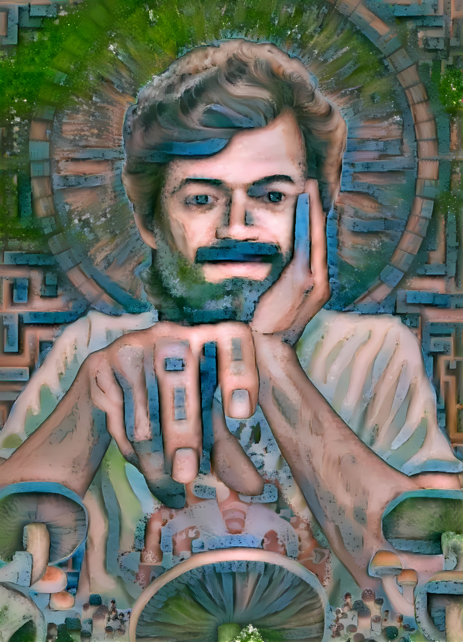 terence mckenna, retextured, maze