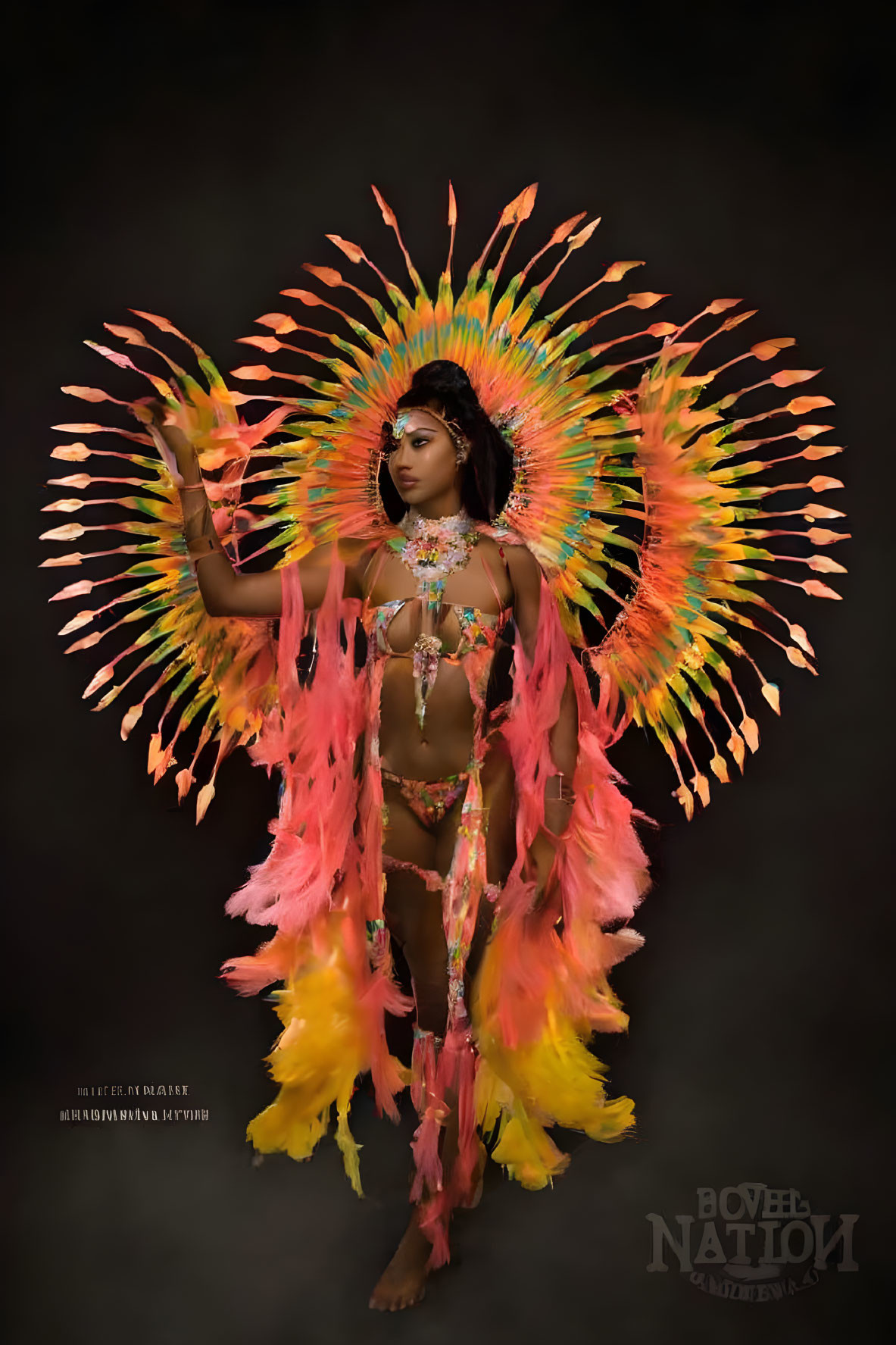 Colorful Bird-Inspired Costume with Elaborate Feathers and Headdress