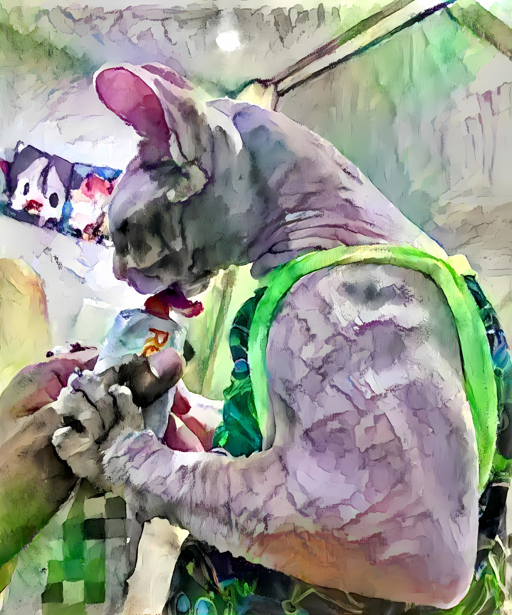 cat in tank top licks toothpaste, painting