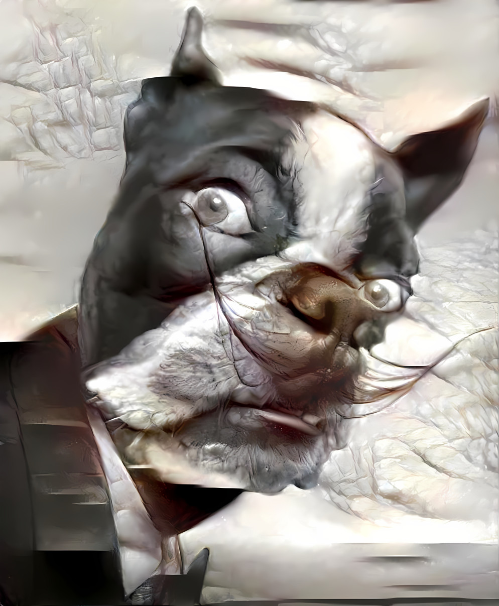 salvador dali dog, looking into camera, retexture