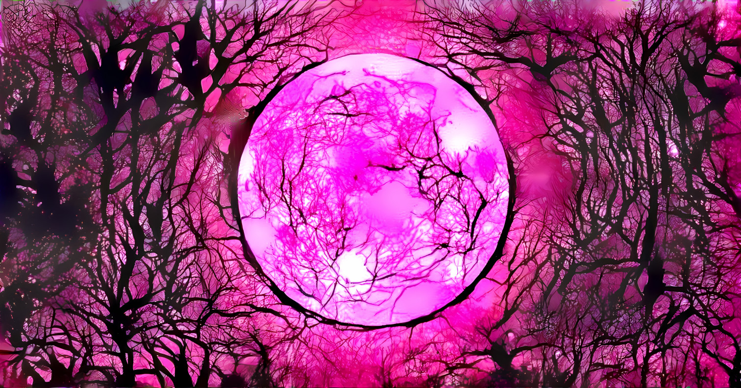 pink moon - april 2022 - trees