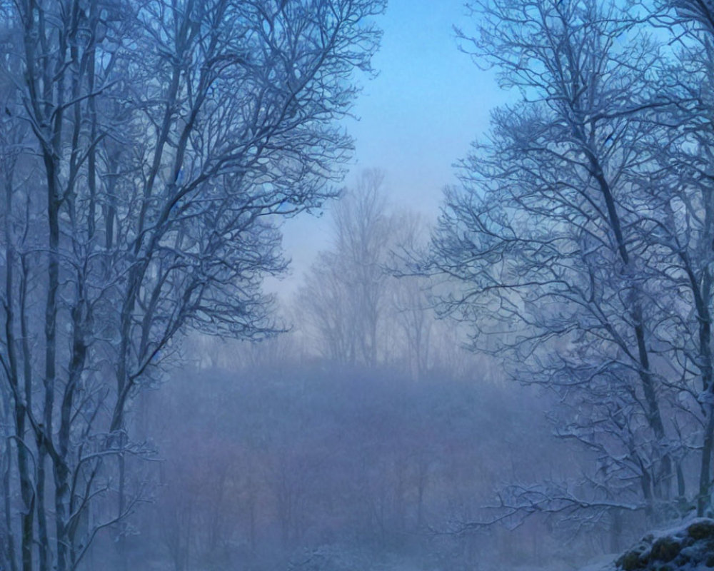 Snow-covered trees and tranquil stream in serene winter forest at twilight