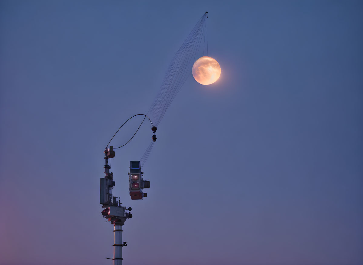 Crane silhouetted against full moon in twilight sky