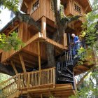 Ornate fantasy treehouse in magical forest