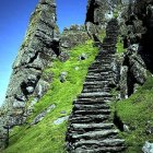 Lush hillside with blooming flowers and stone steps