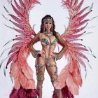 Elaborate teal and brown feathered costume with bejeweled turquoise bikini