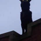 Black Wolf Sculpture on Red Roof with Abstract Blue Sky