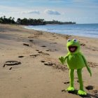 Colorful Cartoon Frog on Surreal Beach with Northern Lights