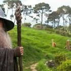 Wizard with Long Gray Beard and Purple Hat in Lush Forest Clearing