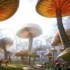 Fantastical forest with oversized colorful mushrooms under dreamlike sky