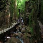 Tranquil waterfall cascades through lush tropical setting