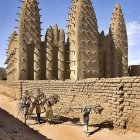 Traditional mud-brick buildings with conical thatched roofs in a desert landscape.