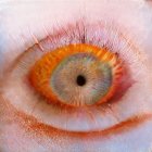 Vibrant Orange Eye Close-Up with Dewdrops on Pink Skin