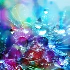 Vibrant Translucent Bubbles with Reflections on Soft Backdrop