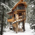 Secluded treehouse with balcony in misty forest setting