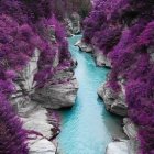 Vibrant purple foliage and towering cliffs by a turquoise river