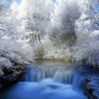 Winter Landscape: Icicles, Frozen Waterfalls, Still Waters, Snow-Dusted Trees