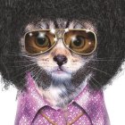 Anthropomorphic cat with curly afro, galaxy sunglasses, purple polka dot shirt